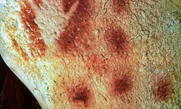 Prehistoryczne freski naskalne wykonywały kobiety