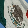 Meksyk: wojsko przeciwko "kartelom"