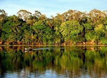 Tydzień dla Amazonii