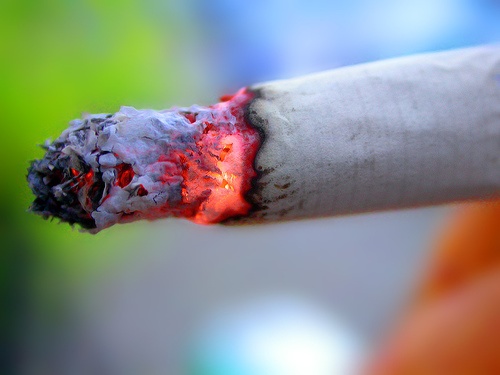 Polacy popierają zakaz palenia