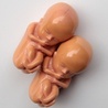 USA: Scjentolodzy zmuszają do aborcji
