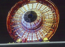 Polacy i Wielki Zderzacz Hadronów
