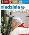 Niedziela 13/2010