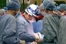 Dokument luteran o transplantologii