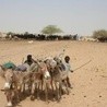 Caritas Nigru o zagrożeniu głodem