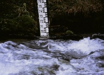 Podkarpackie: Woda w rzekach opada