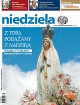 Niedziela 20/2010