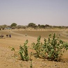 Darfur: Zabito trzech żołnierzy sił pokojowych