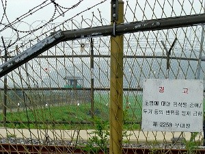 Korea Płd.: Choinka przy granicy z Koreą Płn.
