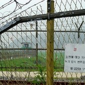 Północnokoreańscy uchodźcy mogą wyjechać do Korei Płd.