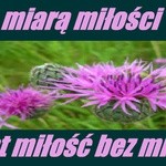 miara miłości