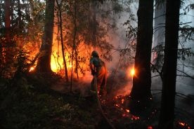 Rosja: Ogień rozprzestrzenia się