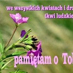 we wszystkich kwiatach ....