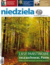 Niedziela 43/2010