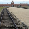 Droga krzyżowa w Auschwitz II - Birkenau