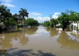 Australia: Rośnie liczba ofiar powodzi