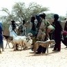 Ostrożnie w krajach Sahelu