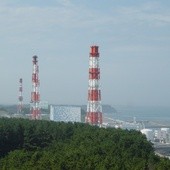 Skażenie domów 200 km od Fukushimy