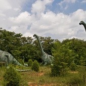 Dinozaury mogły mieć wszy