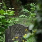 Cmentarz żydowski w Katowicach