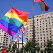 SLD: związki partnerskie także homo