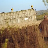 Pokazać raport Millera najpierw rodzinom