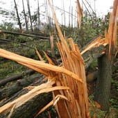 Trąba powietrzna pod Radomiem