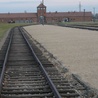 Pamięci ofiar KL Auschwitz - 71. rocznica