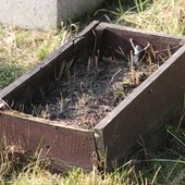 Jak pochować dzieci martwo urodzone?