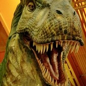 Rybożerny dinozaur odkryty w Australii