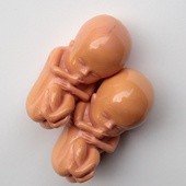 Bundestag dopuszcza testy na embrionach