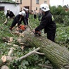 Łódzkie: Nadal ok. 2 tys. osób bez prądu 