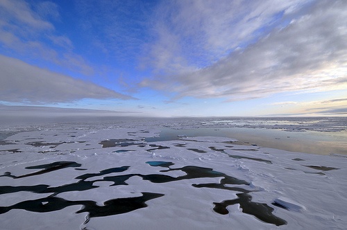 Arktyka znika rekordowo