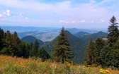 Pieniny