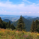 Pieniny