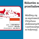 Różaniec 2011