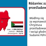 Różaniec 2011