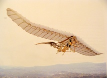 Ornitopter