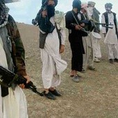 Dobry klimat dla talibów
