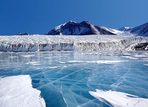 Szczątki roslin i zwierząt pod lodem Antarktydy