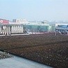 Północnokoreańska "żałoba" - dzień drugi