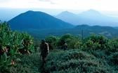 Narodowy Park Wulkanów w Rwandzie