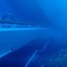 Costa Concordia runie w głębinę?