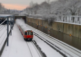 Czeskie nowości