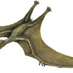 Pterozaur