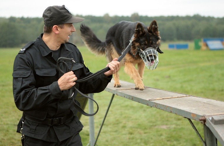 Czworonożni policjanci