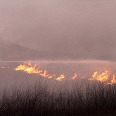 Za palenie trawy do 10 lat więzienia