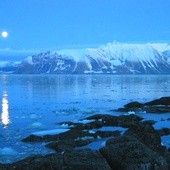 Spitsbergen - Dziennik polarny