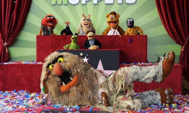 Muppety mają własną gwiazdę
