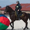 Trening konnej sekcji strażników